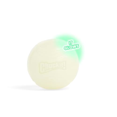 Chuckit! Max Glowin the Dark Bouncy Ball for Dogs, Large 3in, 1 Pack - size: Large