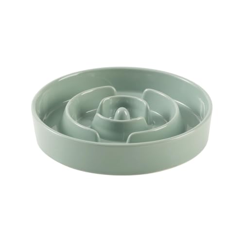 Havniva Ceramic Slow Feeder Dog Bowls, 7.3 in Slow Feeder for Small Breed - color: Light Green
