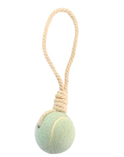 Dog Chew Toy for Small to Medium Dogs, Green - color: green
