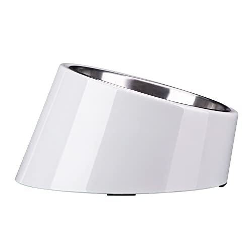 SUPERDESIGN Anti-Vomiting 15° Slanted Pet Bowl, S/0.5 Cup, Gray - color: Light Gray, size: S/0.5 Cup