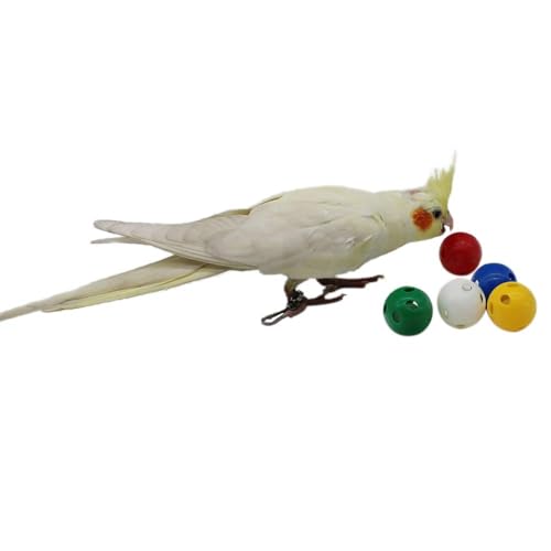 QBLEEV 5 Pack Bird Bell Balls Sets for Chewing Playing Training, Colorful Parrot Cage Treat Toy for Cockatiel Parakeet Conure Budgie, Small Pet Foot Talon Toy for Parrot Kitten Puppy, Random Color - color: Egg Balls