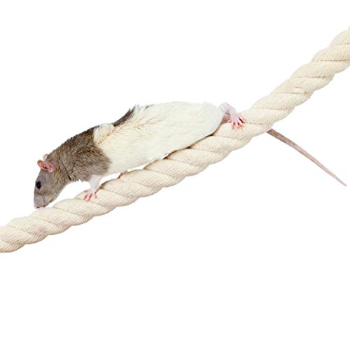 42 Inch Natural Rope (Regular) - Flexible Bendable Climbing Rope Perch Cage Accessory Toy - Sugar Gliders, Squirrels, Degus, Marmosets, Monkeys, Parrots, Birds, Rats & Other Small Pets (Pack of 2) - size: 42 inches long, 3/4 inches thick (Pack of 2)