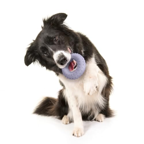 Playology Dual Layer Ring Dog Toy for Aggressive Chewers, Lamb Scent - size: Medium, style: Lamb