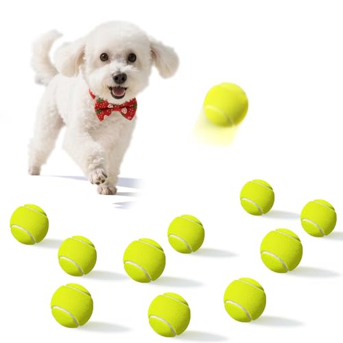 2-inches Interactive Dog Tennis Balls for Exercise and Training