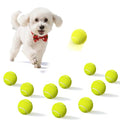2-inches Interactive Dog Tennis Balls for Exercise and Training