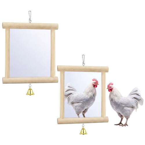 Sadnyy Extra Large Chicken Mirror Toy for Coop Square Double Side Mirror - color: Wood, size: Square
