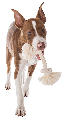 Mammoth Pet Products Dog,Flossy Chews 100-Percent Cotton White Rope Bone, Large, 14-Inch (10006V) (Pack of 2) - size: Large (14 in) (Pack of 2), style: 2 Knot Rope Bone