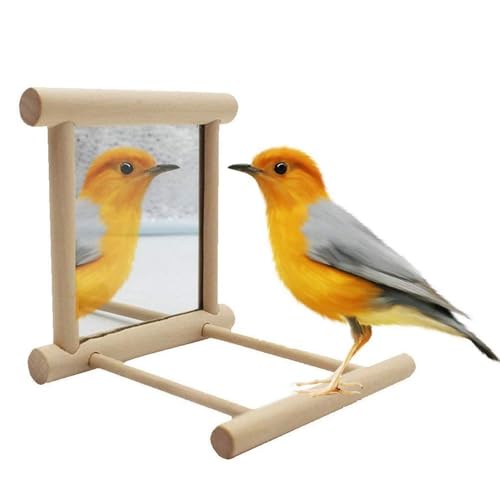 Litewoo Bird Mirror with Perch Parrot Swing Interactive Play Toys, 2 PC - color: Bird Mirror Perch Stand-2 PCS