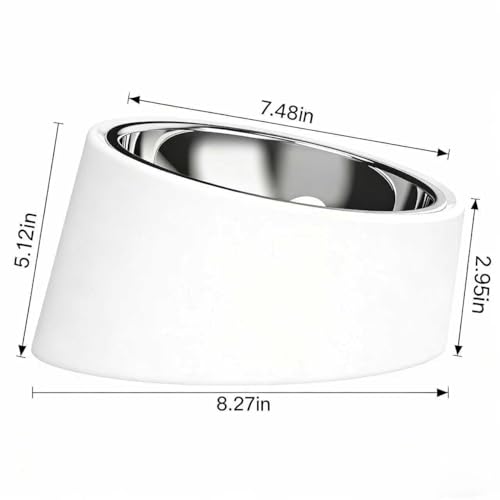 15° Tilted Slow Feeder- Non-Spill & Non-Slip Stainless Steel Dish for Small & Cats - color: White, size: L