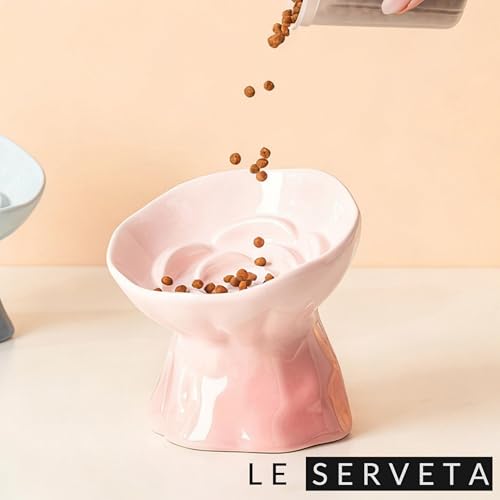 Elevated Ceramic Cat Bowl, Tilted Slow Feeder Pet Dish with Gradient Color Coating, 3.3 Ounces Capacity, Anti-Gulping Design with Rose Bouquet Design (Gradient Pink) - color: Gradient Pink