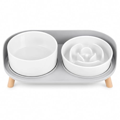 Elevated Slow Feeder Dog Bowls with Splash Proof Stand, Slow Eating 5X - color: White