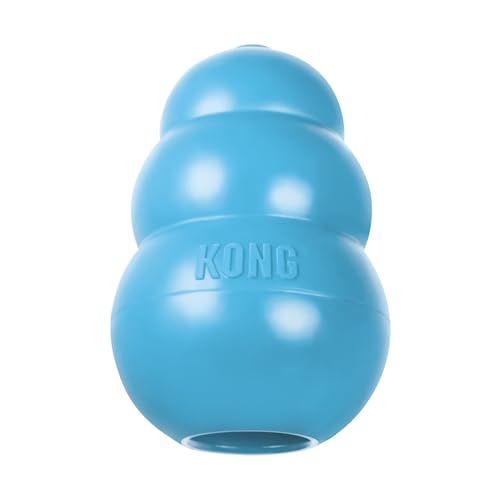 KONG Puppy, Natural Rubber Teething Chew Toy, for Large Puppies, Blue - color: Blue, size: Large (Pack of 1)