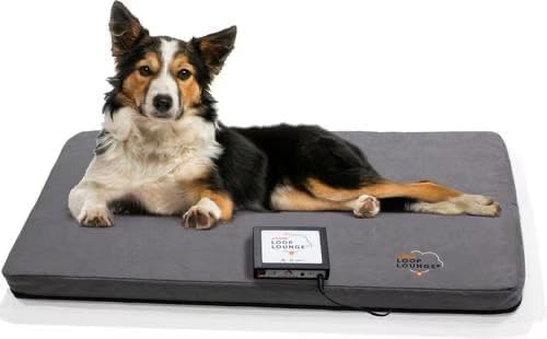 Assisi LOOP Lounge tPEMF System for Dogs and Cats (Medium) - size: Medium