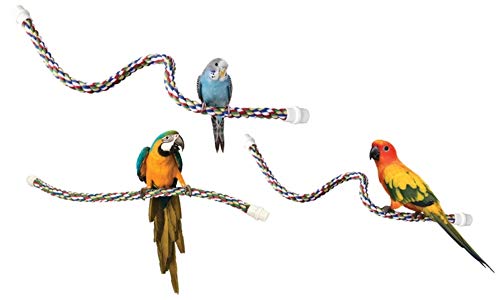 JW Pet Comfy Perch for Birds Flexible Multi-Color Rope, Small - 21" Length (Pack of 12) - size: Small (Pack of 12), style: 21"