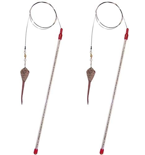 GoCat Cat Catcher Teaser Wand (2 - Pack)