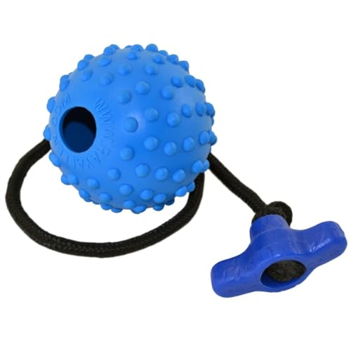 RAM Ball On Rope Toy - Quality Dog Training (Blue w/T-Handle, 2.5") - color: Blue w/T-Handle, size: 2.5"