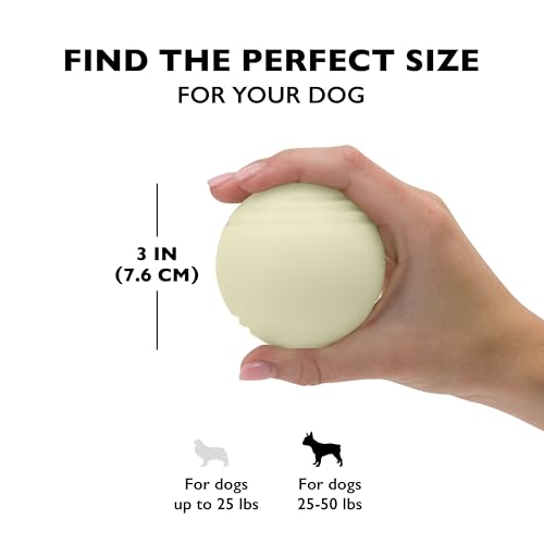 Chew King by Mammoth Set of 2 Glowing Fetch Ball, Durable Bouncy Interactive Toy for Pets & Dogs, Lightweight, 3 Inch, Fits Ball Launcher - color: 2-Pack, size: 3" (2 Pack)