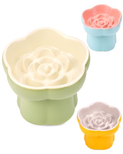 Ceramic Elevated Slow Feeder Cat Bowl Set with Feeding Mat & Measuring Scoop, Raised Tilted Puzzle Bowl for Cats & Small Dogs, Whisker Friendly Pet Feeding Dish for Dry Wet Food (Green) - color: Green