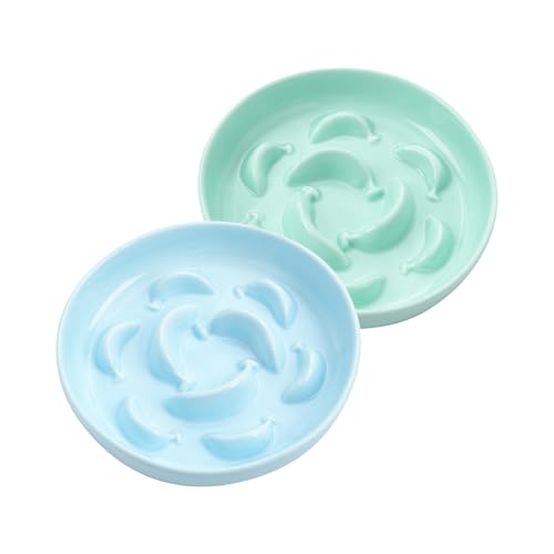 2 Pack Ceramic Cat Slow Feeder Bowl Set, 6.3" Wide, Slow Eating 5X - color: Blue and Green