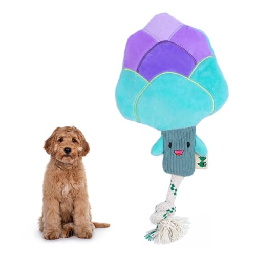 Green Sheep Interactive Plush Dog Toy, No Stuffing Squeaky Toy with Recycled Cotton Rope for Medium to Large Dogs, Chew Toy, Asparagus - color: Asparagus（M）