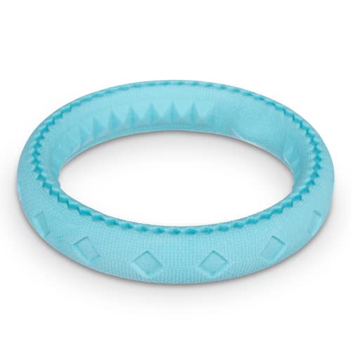 Messy Mutts Totally Pooched Chew n Tug Ring, 6.5 Inch, Teal