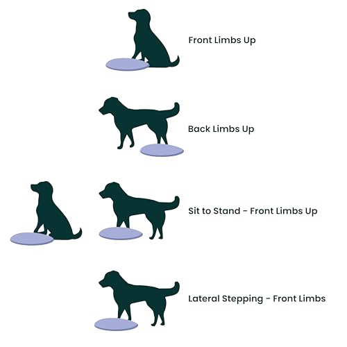 FitPaws® Dog Balance Disc, Exercise Equipment, Rehabilitation + Training, - color: Blue, size: 14"