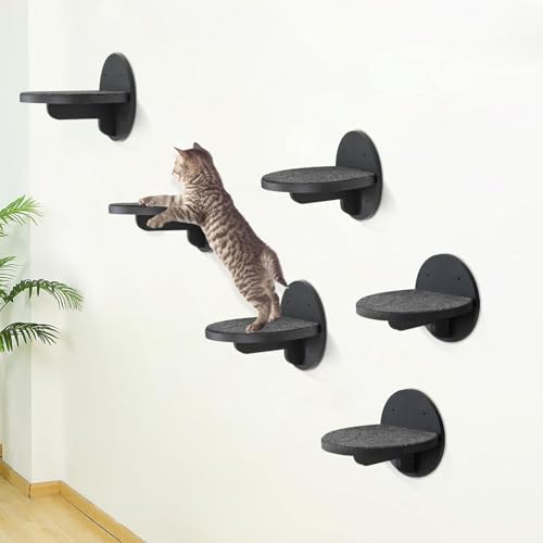 Cat Wall Shelves Furniture Set of 6, Wooden Cat Steps for with Scratching Pad, Sturdy Floating Climber Ladder Stairs, Cats Climbing Wall Systems for Cats Sleep Climb Play - color: black