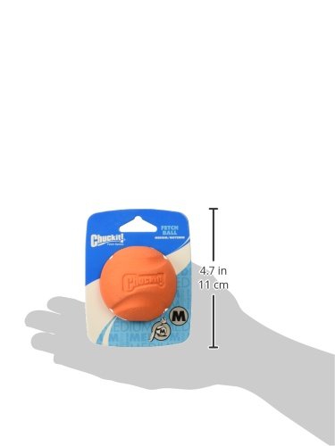 Chuckit! High-Bounce Rubber Fetch Ball Dog Toy, Medium 2.5in, Assorted