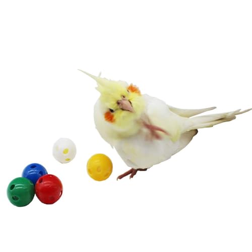 QBLEEV 5 Pack Bird Bell Balls Sets for Chewing Playing Training, Colorful Parrot Cage Treat Toy for Cockatiel Parakeet Conure Budgie, Small Pet Foot Talon Toy for Parrot Kitten Puppy, Random Color - color: Egg Balls