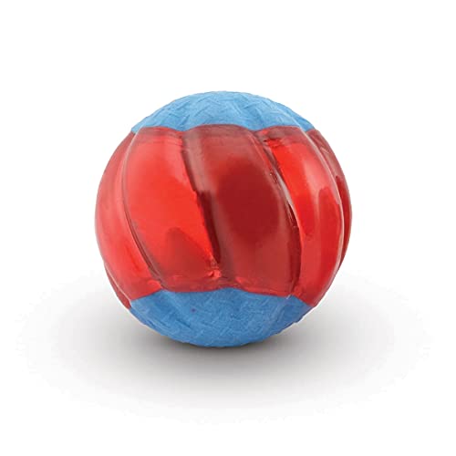 ZEUS Duo Balls with Squeaker, Interactive Dog Toys, Large, 96286 - color: Squeaker, size: Large