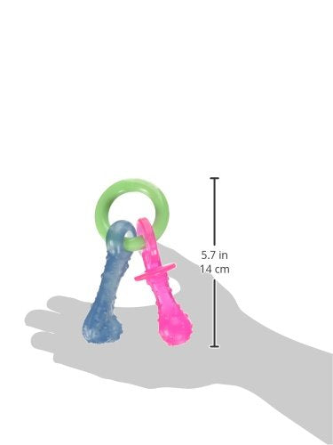 Nylabone Puppy Pacifier Chew Toy, Teething Toys for Puppies up to 25 lbs - color: Pacifier, size: Small