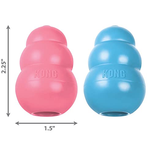 KONG - Puppy Toy Natural Teething Rubber - Fun to Chew, Chase and Fetch - for Extra Small Puppies - Blue - color: Blue, size: Extra Small