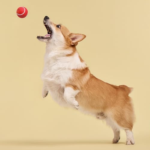 Playology Squeaky Chew Ball Dog Toy - Medium, Beef Scent - size: Medium, style: Beef