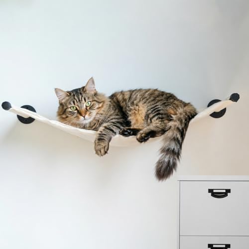 Cat Hammock Wall Mounted, Wall Mounted Cat Shelves, 35.43 x 12.99 in - color: Canvas Long
