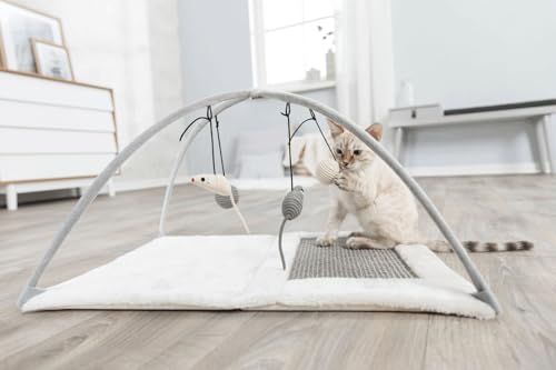 Trixie Junior Cat Activity Center, Interactive Cat Toys, Scratching Pad, Foldable and Easy to Store