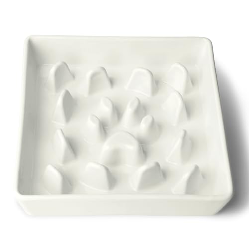 Ceramic 1.8 Cup for Small & Medium Breeds Slow Feeder Dog Bowl (White) - color: White