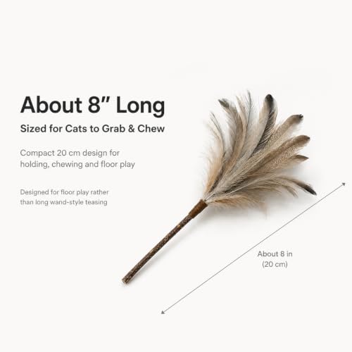 Silvervine Feather Cat Toys, 3 Pack Natural Feather Chew Toys - style: Natural Feather