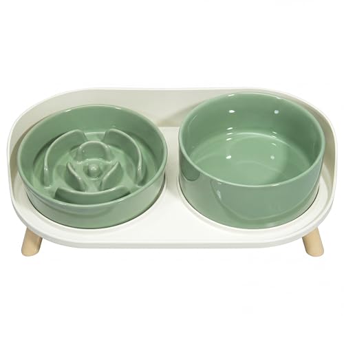 Elevated Slow Feeder Dog Bowls with Splash Proof Stand, Slow Eating 5X - color: Green