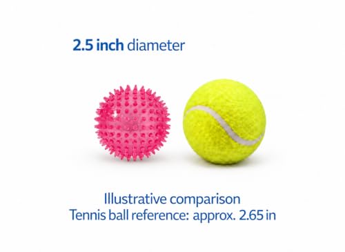 Squeaky Spiky Dog Ball for Teeth Cleaning & Gum Massage 2.5 Inch Small Medium Dogs Pink | Spiny TPR Rubber Chew Toy for Fetch Play Interactive Bouncy Dental Ball Durable BPA Free Nontoxic Floats - size: Pink Ball 1-Pack