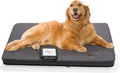 Assisi LOOP Lounge tPEMF System for Dogs and Cats (Large) - size: Large