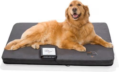 Assisi LOOP Lounge tPEMF System for Dogs and Cats (Large) - size: Large