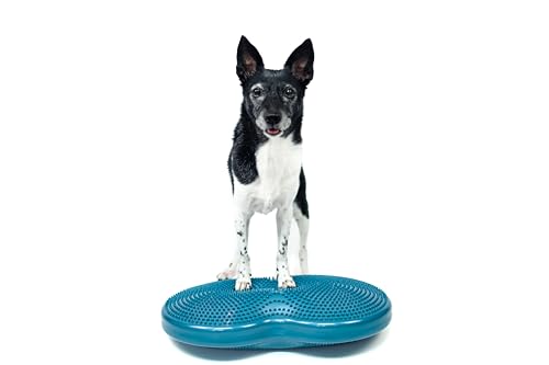 FitPaws® Duo Disc Dog Training Platform - Balance, Exercise Core Stability