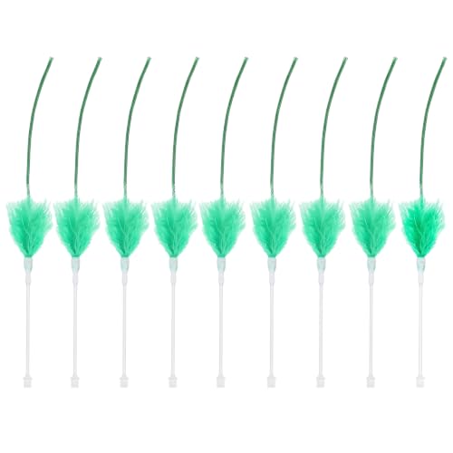 Lewtemi 9 Pcs Interactive Hide and Seek Cat Toys Replacement Feather