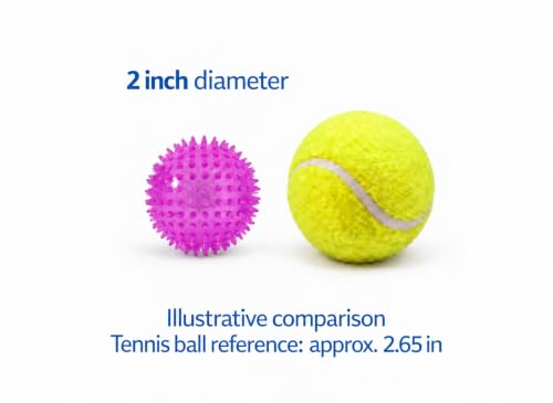 Squeaky Spiky Dog Ball for Teeth Cleaning & Gum Massage 2 Inch Puppy Small Dogs Purple | Spiny TPR Rubber Chew Toy for Fetch Play Interactive Bouncy Dental Ball Durable BPA Free Nontoxic Floats - size: 2 Inch Purple Ball 1-Pack