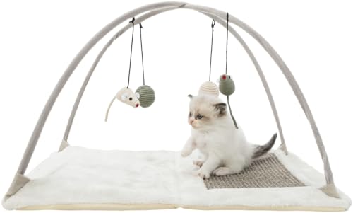 Trixie Junior Cat Activity Center, Interactive Cat Toys, Scratching Pad, Foldable and Easy to Store
