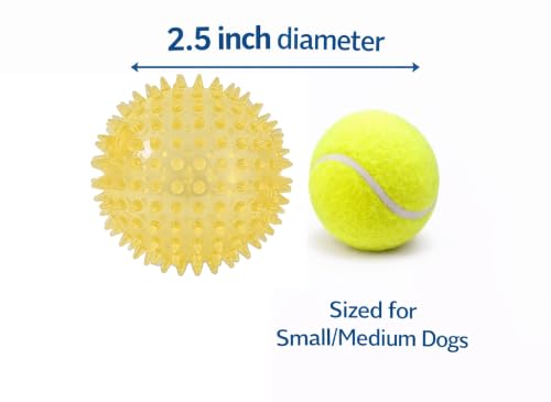 Squeaky Spiky Dog Ball for Teeth Cleaning & Gum Massage 2.5 Inch Small Medium Dogs Yellow | Spiny TPR Rubber Chew Toy for Fetch Play Interactive Bouncy Dental Ball Durable BPA Free Nontoxic Floats - size: Yellow Ball 1-Pack
