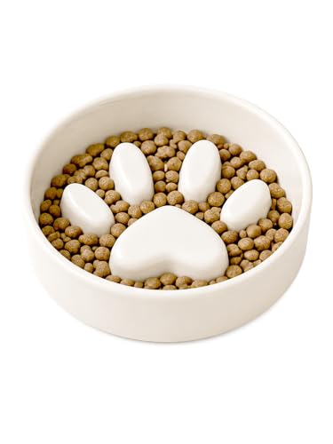 Ceramic Slow Feeder Cat Bowl Paw Small Pet Dogs 2 Cups Food Dish - color: Ivory