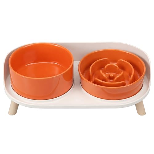 Elevated Slow Feeder Dog Bowls with Splash Proof Stand, Slow Eating 5X - color: Orange