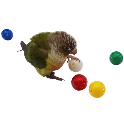 QBLEEV 5 Pack Bird Bell Balls Sets for Chewing Playing Training, Colorful Parrot Cage Treat Toy for Cockatiel Parakeet Conure Budgie, Small Pet Foot Talon Toy for Parrot Kitten Puppy, Random Color - color: Egg Balls