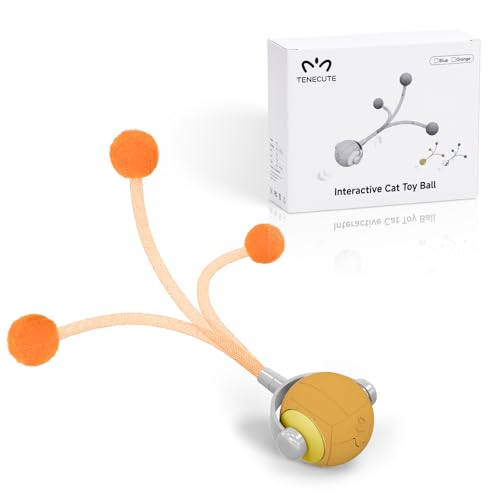 Cat Toys for Indoor Cats, Interactive Cat Toy Ball with Pom-Pom Tails, Automatic Cat Toy Self Play Exercise Toy to Relieve Boredom for Kitten & Adult Cats (Orange)
